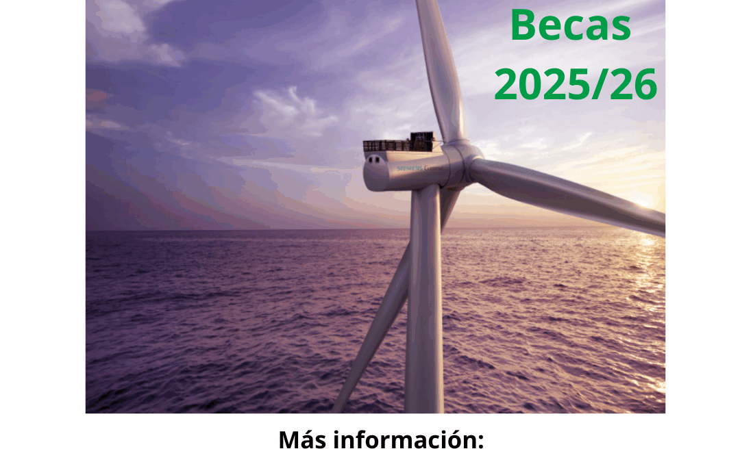 Convocatoria de becas para cursar la 8ª edición del MAERM (curso 2025/26
