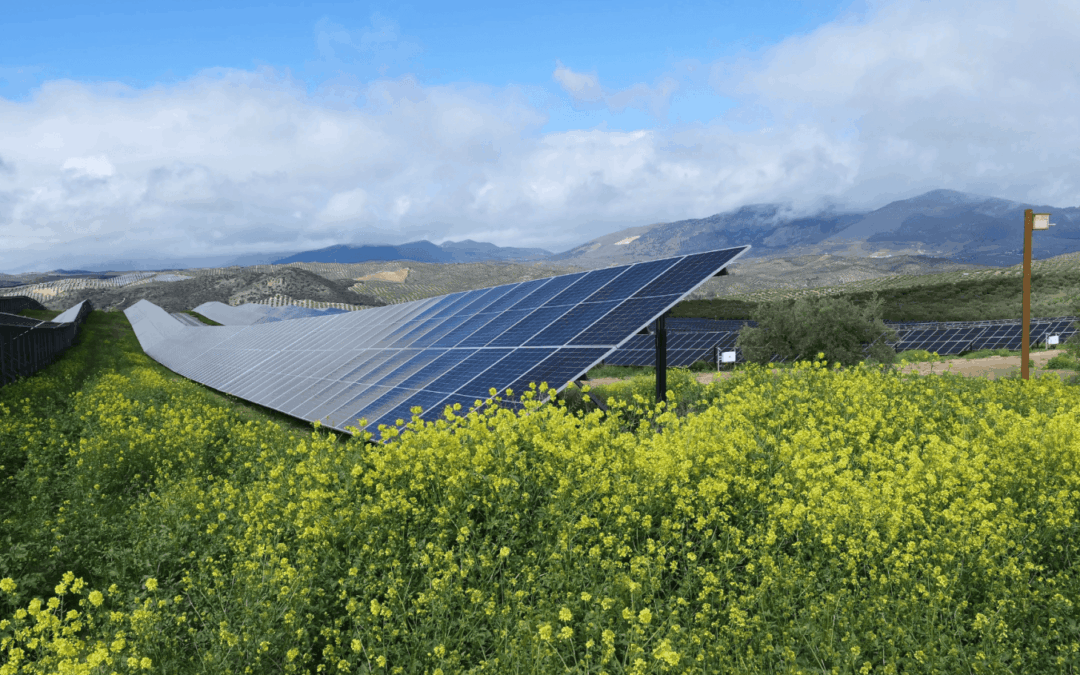 IGNIS x UPM Open Day