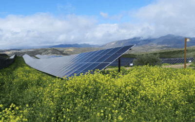 IGNIS x UPM Open Day